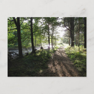 "Walk Near the River" Northumberland Post Card