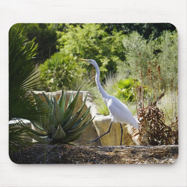 Walk on By (Great Egret) Mouse Pad (Front)