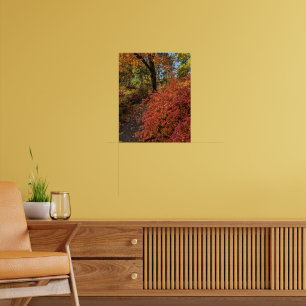 Walk Through an Autumn Colour Botanical Garden Poster