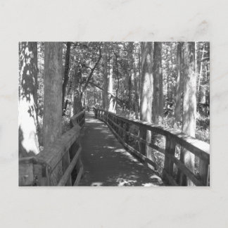 Walk to Remember Postcard