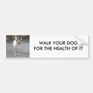 WALK YOUR DOG BUMPER STICKER