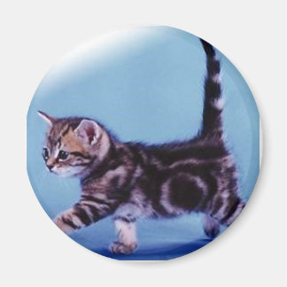 walking%20kitten%20RC%20Germany Magnet