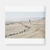 Walking Along The Skeleton Coast