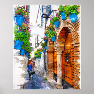 Walking Cordoba's Alley -Spain Poster