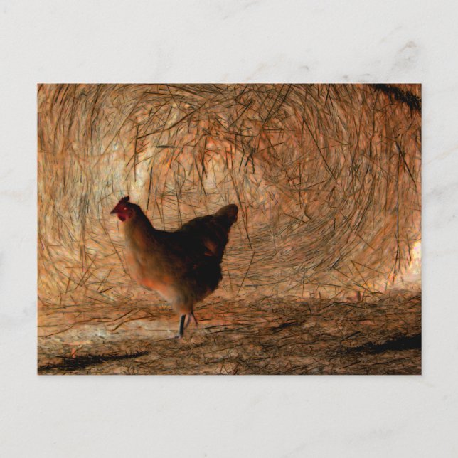 "Walking" - Digitally Enhanced Photo Chicken & Hay Postcard (Front)