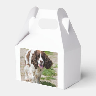 walking english springer spaniel.png favour box
