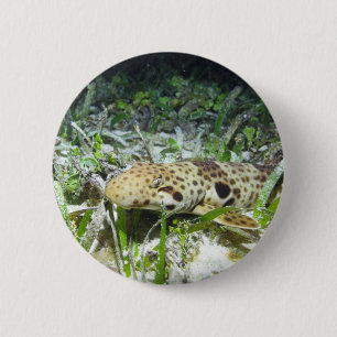 Walking epaulette shark in the Raja Ampat islands 6 Cm Round Badge