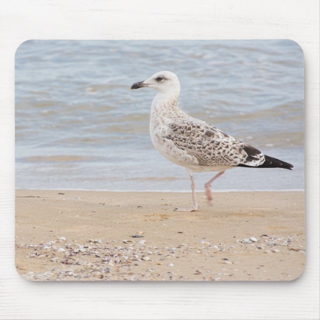 Walking gull mouse pad (Front)