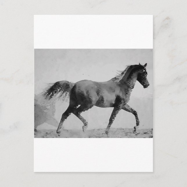 Walking Horse Black & White Postcard (Front)