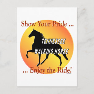 Walking Horse Pride Postcard