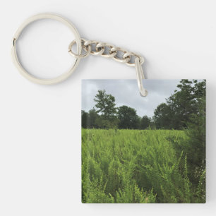 Walking in the Forest, Chester, South Carolina Can Key Ring