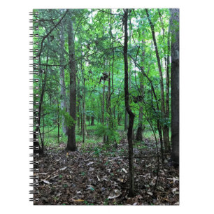 Walking in the Forest, Chester, South Carolina Can Notebook