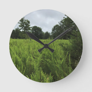 Walking in the Forest, Chester, South Carolina Can Round Clock
