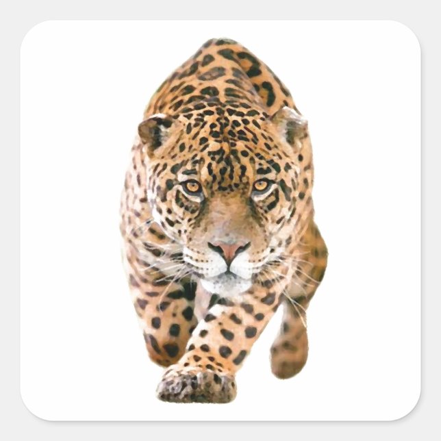 Walking Jaguar Eyes Square Sticker (Front)