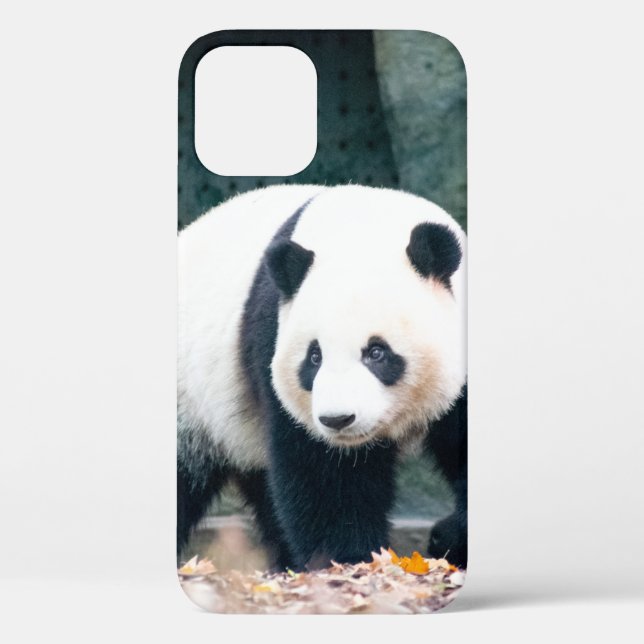 WALKING PANDA FRONT OF CONCRETE BUILDING Case-Mate iPhone CASE (Back)