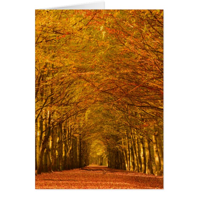 Walking path in forest in autumn vertical card (Front)