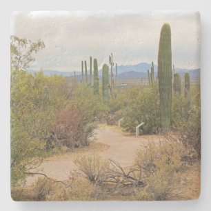 Walking Path in the Desert in Arizona, sq  coaster