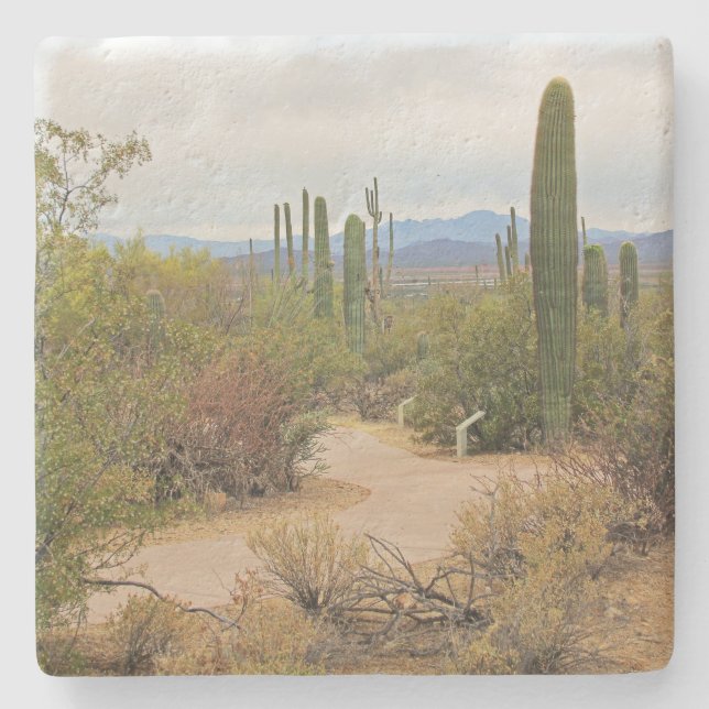 Walking Path in the Desert in Arizona, sq  coaster (Front)