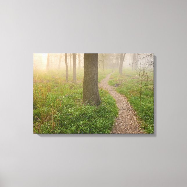 Walking path leading into a forest canvas print (Front)