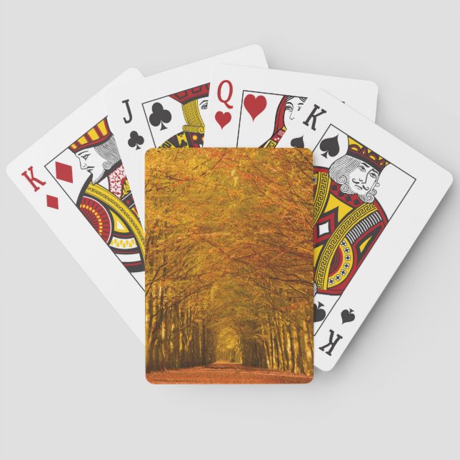 Walking path through the forest in autumn cards (Back)