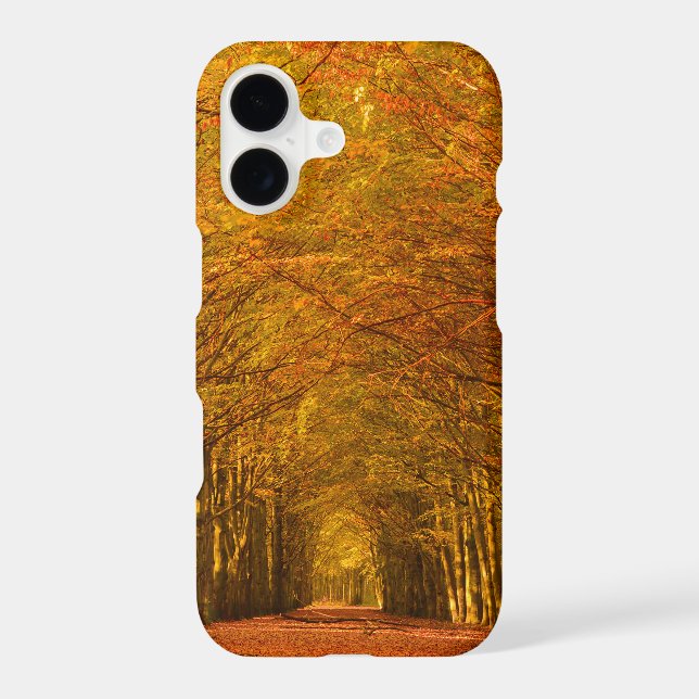 Walking path through the forest in autumn iPhone (Back)