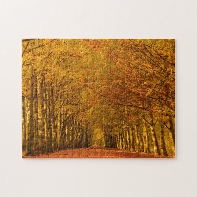 Walking path through the forest in autumn jigsaw puzzle (Horizontal)