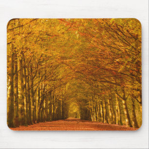 Walking path through the forest in autumn mousepad