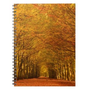 Walking path through the forest in autumn notebook