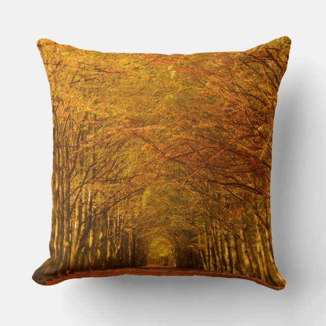Walking path through the forest in autumn pillow (Front)