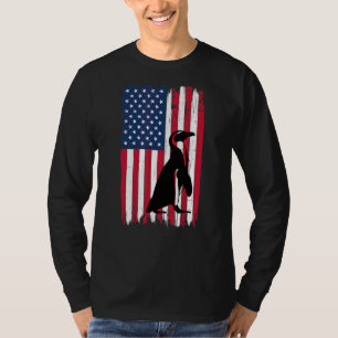 Walking Penguin Bird Silhouette American Flag Usa T-Shirt