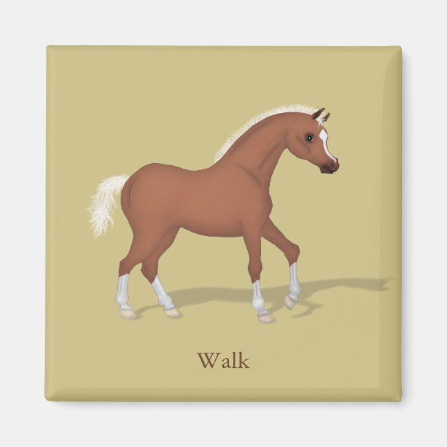 Walking Sorrel Foal Gaits of the Horse Magnet (Front)