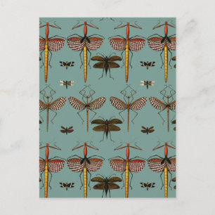 Walking sticks, Katydids and Dragonflies Postcard