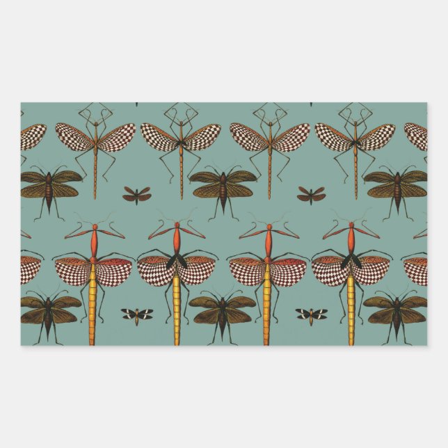 Walking sticks, Katydids and Dragonflies Rectangular Sticker (Front)