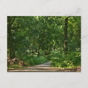 Walking through the trees postcard