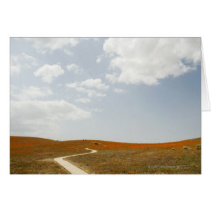 Walking Trail