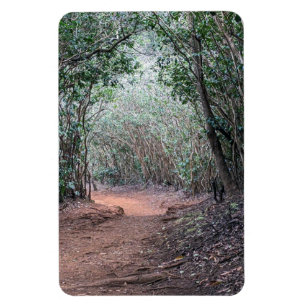Walking Trail Photo Magnet