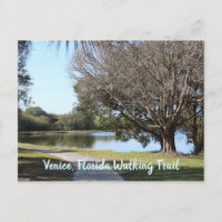 Walking trail Venice Florida nature photography