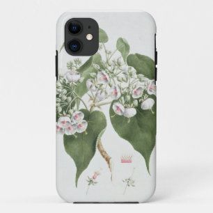 Walkuffa No.5 Dombeya torrida (w/c over graphite o iPhone 11 Case