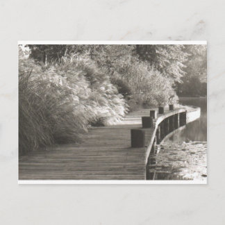 walkway.jpg postcard