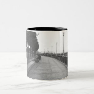 WalkWay Mug