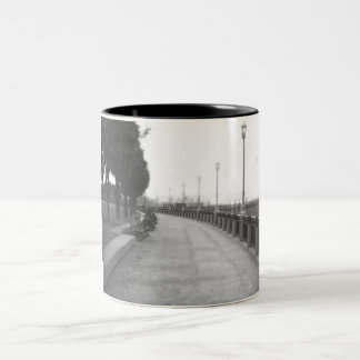 WalkWay Mug