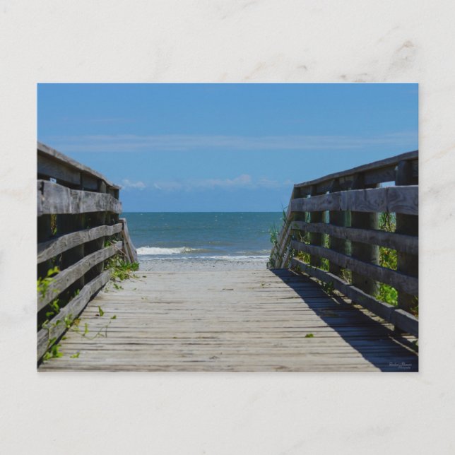 Walkway To Paradise Postcard (Front)