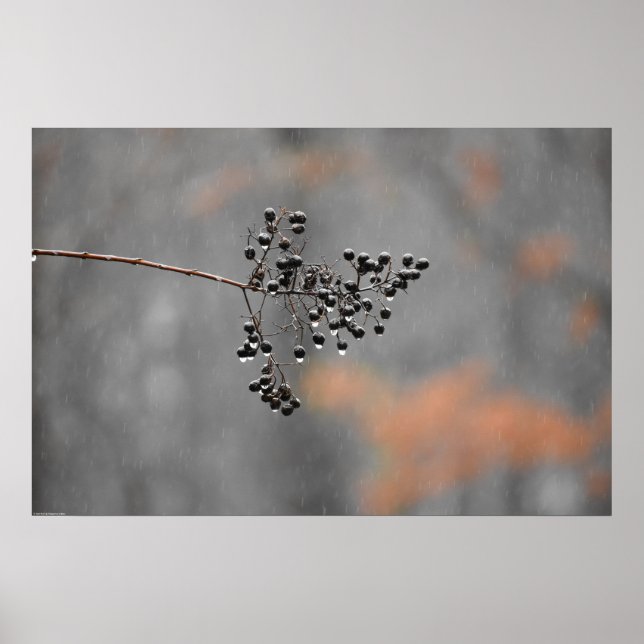 Wall Art (Front)