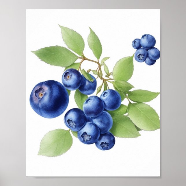 Wall Art fruit poster (Front)