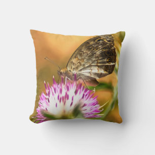 Wall Brown Butterfly Lasiommata megera Painting Cushion