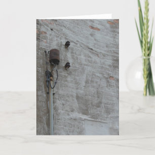 Wall Card