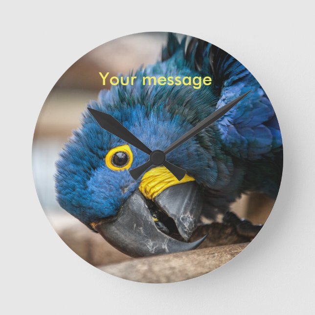 Wall clock featuring cute Hyacinth Macaw parrot (Front)