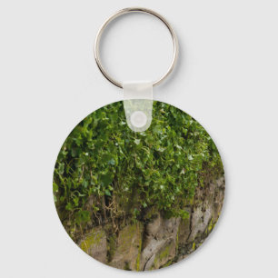 Wall Of Ivy Key Ring