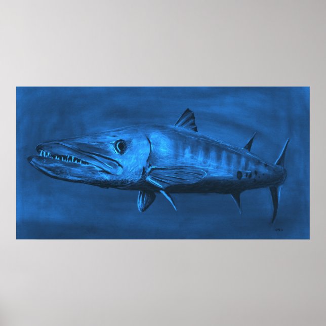 WALL SIZED--Huge Sized Blue Barracuda Poster (Front)