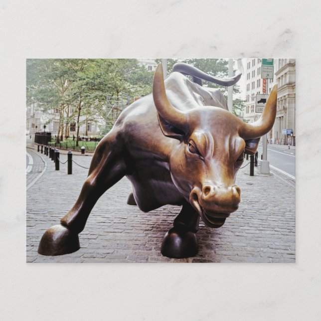 Wall Street Charging Bull Postcard (Front)